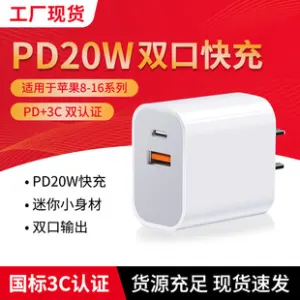 Pd20W Dual Port Fast Charger for iPhone